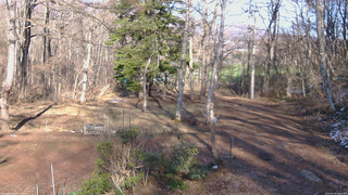 長野県菅平高原 ゆたか山荘 坂上 2026/04/08 16:00