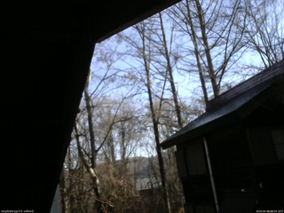 長野県菅平高原 ゆたか山荘 北側 2026/04/09 06:45