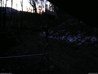 長野県菅平高原 ゆたか山荘 南側 2026/04/09 05:00