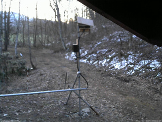 長野県菅平高原 ゆたか山荘 南側 2026/04/09 05:15
