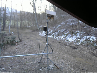 長野県菅平高原 ゆたか山荘 南側 2026/04/09 05:45