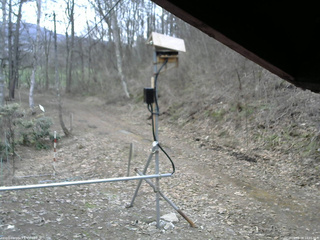 長野県菅平高原 ゆたか山荘 南側 2026/04/09 14:45