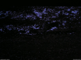 長野県菅平高原 ゆたか山荘 東側(坂下) 2026/04/09 05:00