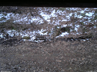 長野県菅平高原 ゆたか山荘 東側(坂下) 2026/04/09 05:15