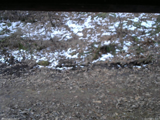 長野県菅平高原 ゆたか山荘 東側(坂下) 2026/04/09 05:30