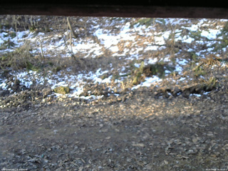 長野県菅平高原 ゆたか山荘 東側(坂下) 2026/04/09 06:00