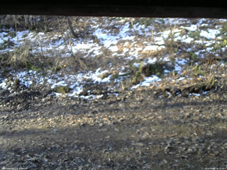 長野県菅平高原 ゆたか山荘 東側(坂下) 2026/04/09 06:15