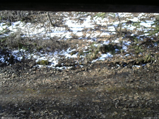 長野県菅平高原 ゆたか山荘 東側(坂下) 2026/04/09 07:00