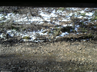 長野県菅平高原 ゆたか山荘 東側(坂下) 2026/04/09 07:15