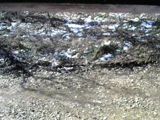 長野県菅平高原 ゆたか山荘 東側(坂下) 2026/04/09 08:15