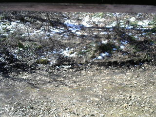 長野県菅平高原 ゆたか山荘 東側(坂下) 2026/04/09 08:30