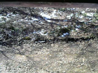 長野県菅平高原 ゆたか山荘 東側(坂下) 2026/04/09 08:45