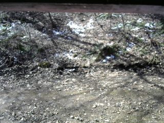 長野県菅平高原 ゆたか山荘 東側(坂下) 2026/04/09 09:15