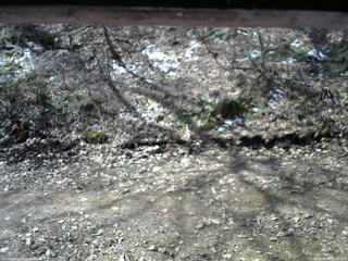 長野県菅平高原 ゆたか山荘 東側(坂下) 2026/04/09 09:30