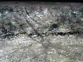 長野県菅平高原 ゆたか山荘 東側(坂下) 2026/04/09 09:45