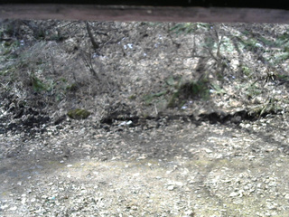 長野県菅平高原 ゆたか山荘 東側(坂下) 2026/04/09 10:30