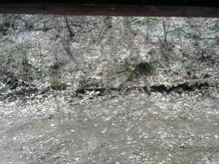 長野県菅平高原 ゆたか山荘 東側(坂下) 2026/04/09 11:30