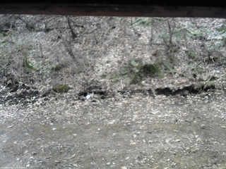 長野県菅平高原 ゆたか山荘 東側(坂下) 2026/04/09 11:45