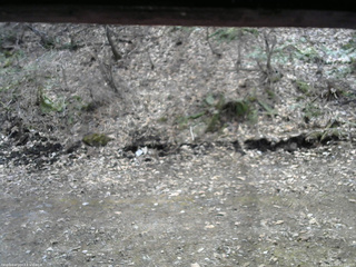 長野県菅平高原 ゆたか山荘 東側(坂下) 2026/04/09 12:00