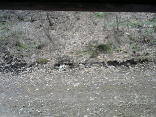 長野県菅平高原 ゆたか山荘 東側(坂下) 2026/04/09 12:30