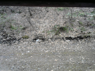 長野県菅平高原 ゆたか山荘 東側(坂下) 2026/04/09 13:00