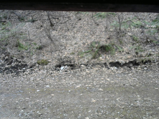 長野県菅平高原 ゆたか山荘 東側(坂下) 2026/04/09 13:15