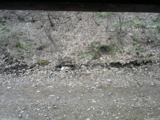 長野県菅平高原 ゆたか山荘 東側(坂下) 2026/04/09 14:15