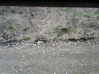 長野県菅平高原 ゆたか山荘 東側(坂下) 2026/04/09 14:45