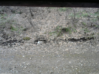 長野県菅平高原 ゆたか山荘 東側(坂下) 2026/04/09 15:30