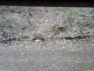 長野県菅平高原 ゆたか山荘 東側(坂下) 2026/04/09 17:00