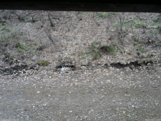 長野県菅平高原 ゆたか山荘 東側(坂下) 2026/04/09 17:30