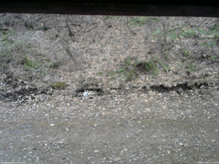 長野県菅平高原 ゆたか山荘 東側(坂下) 2026/04/09 17:45