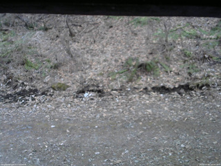 長野県菅平高原 ゆたか山荘 東側(坂下) 2026/04/09 18:00