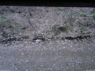 長野県菅平高原 ゆたか山荘 東側(坂下) 2026/04/09 18:15