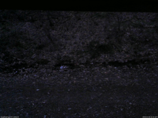 長野県菅平高原 ゆたか山荘 東側(坂下) 2026/04/09 18:30