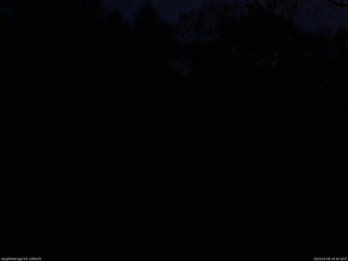 長野県菅平高原 ゆたか山荘 西側(坂上) 2026/04/09 18:45