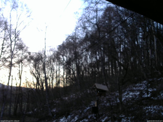 長野県菅平高原 ゆたか山荘 温度計 2026/04/09 05:15