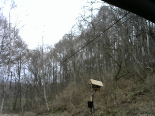 長野県菅平高原 ゆたか山荘 温度計 2026/04/09 16:15