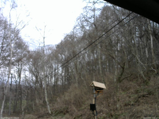 長野県菅平高原 ゆたか山荘 温度計 2026/04/09 17:30