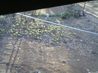 長野県菅平高原 ゆたか山荘 駐車場 2026/04/09 06:00