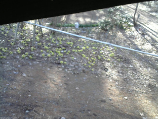 長野県菅平高原 ゆたか山荘 駐車場 2026/04/09 06:45