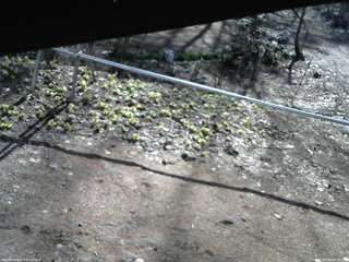 長野県菅平高原 ゆたか山荘 駐車場 2026/04/09 08:00