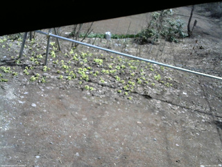 長野県菅平高原 ゆたか山荘 駐車場 2026/04/09 11:00