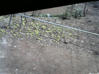 長野県菅平高原 ゆたか山荘 駐車場 2026/04/09 11:15