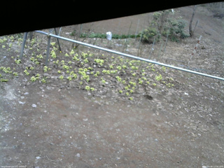 長野県菅平高原 ゆたか山荘 駐車場 2026/04/09 12:30