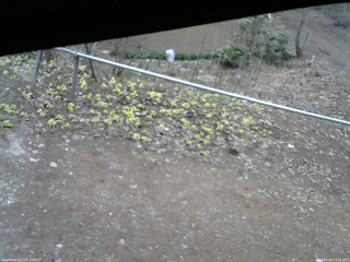 長野県菅平高原 ゆたか山荘 駐車場 2026/04/09 14:45