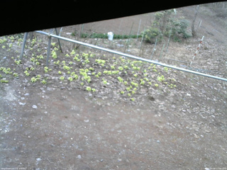 長野県菅平高原 ゆたか山荘 駐車場 2026/04/09 17:00