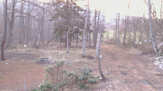 長野県菅平高原 ゆたか山荘 坂上 2026/04/09 05:30