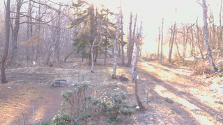 長野県菅平高原 ゆたか山荘 坂上 2026/04/09 06:00