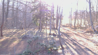 長野県菅平高原 ゆたか山荘 坂上 2026/04/09 06:15